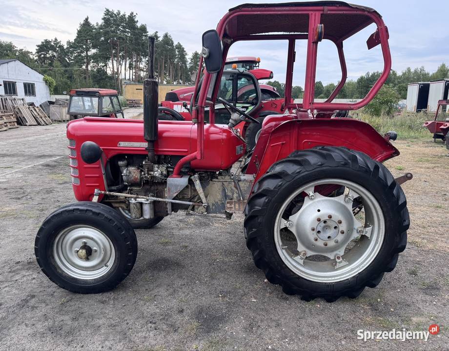 Traktor ciągnik rolniczy Zetor 2011 Majorek 2 Gniezno