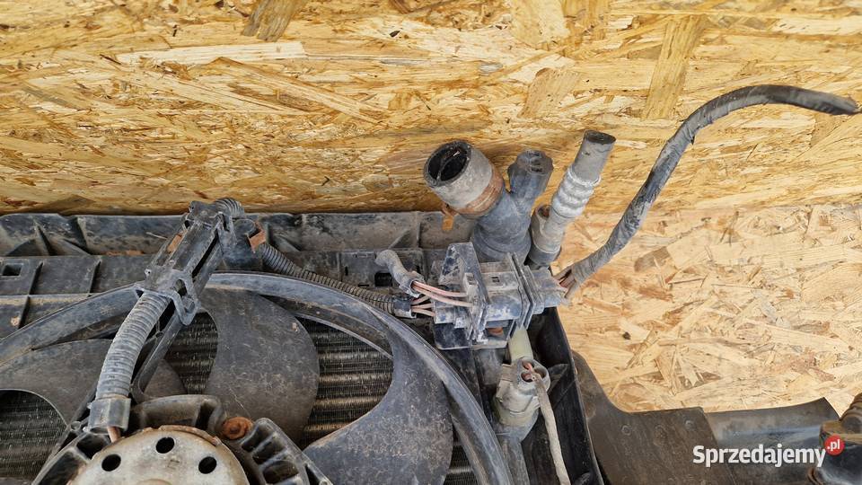 VW GOLF IV 14 BENZYNA PAS PRZEDNI KOMPLET Pasy przednie i tylne Słowikowo