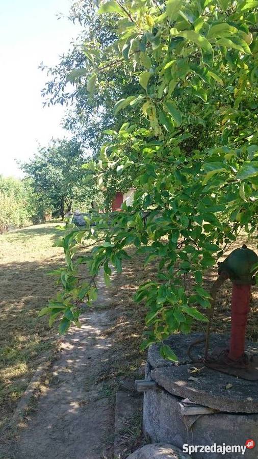 DZIAŁKA ROD W POBIEDZISKACH Pobiedziska sprzedam