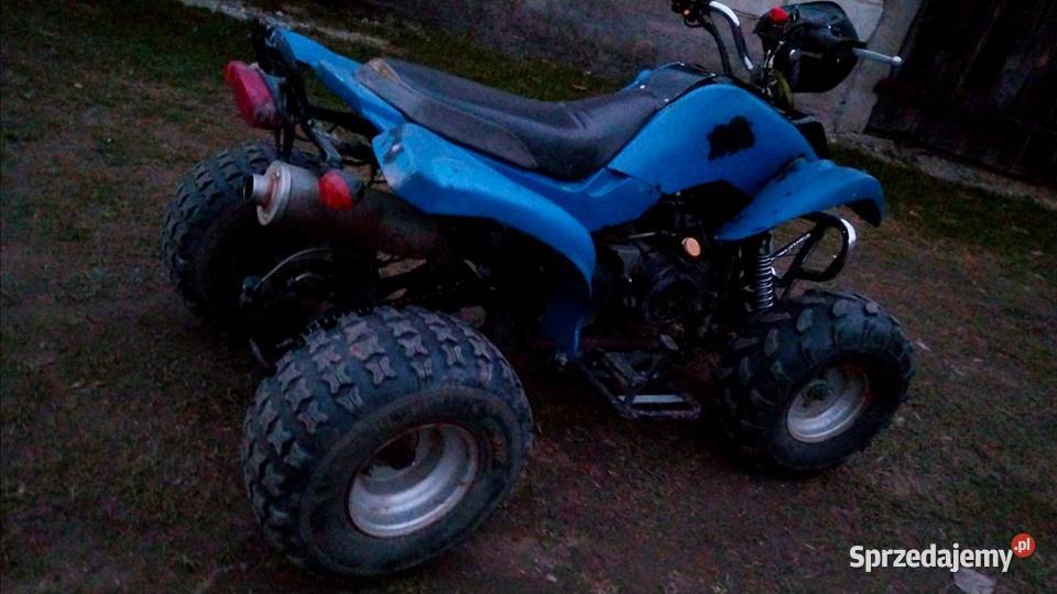 Bashan 150 11km Klukowo