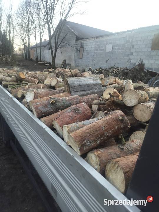 Drewno Głuchów