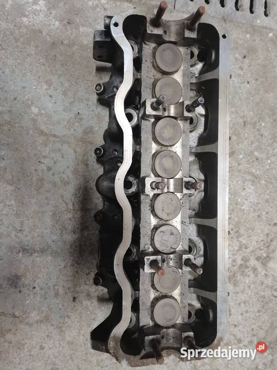 Głowica z samochodu Seat cordoba 19 tdi 90 Głowice cylindrów małopolskie Limanowa