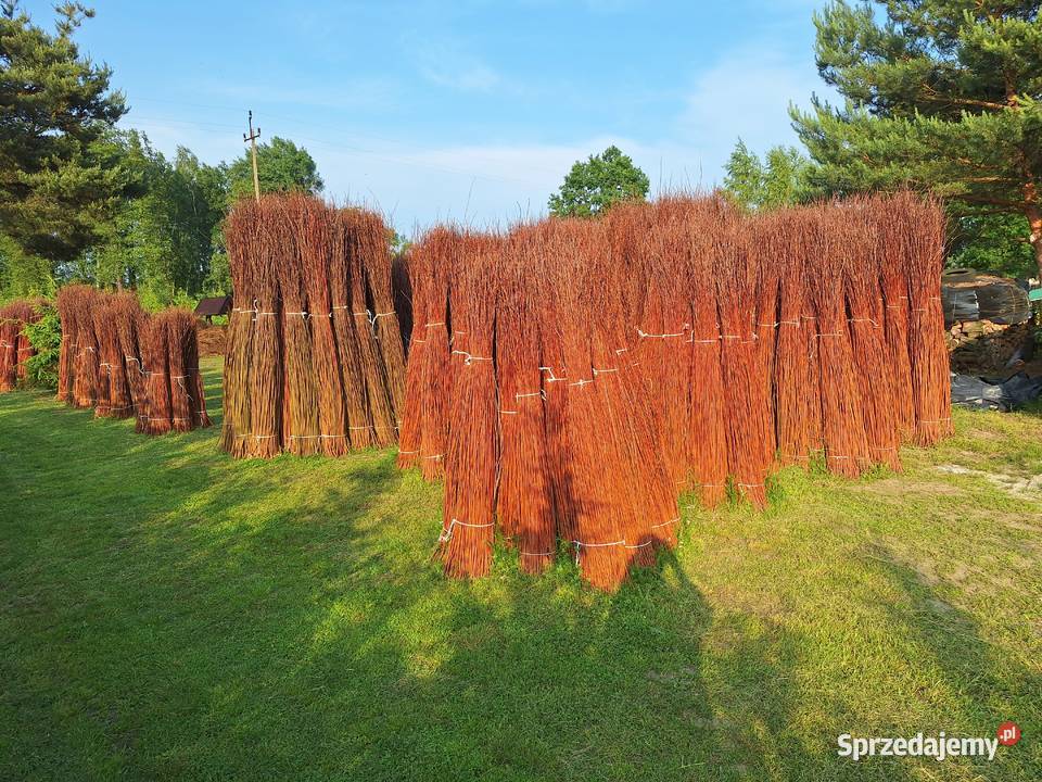Wiklina sucha sortowana Leżajsk