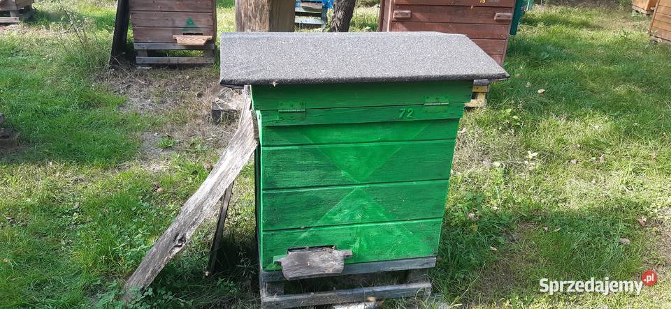 Ule rodziny pszczele lubelskie Biłgoraj