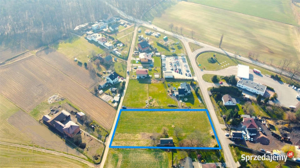 sprzedaży gruntu Rzuchów 4811m2 prąd Grunty i działki