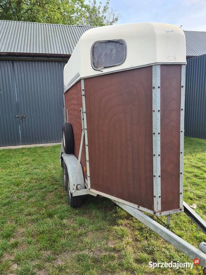 klacz przyczepa konna Konie Firlej