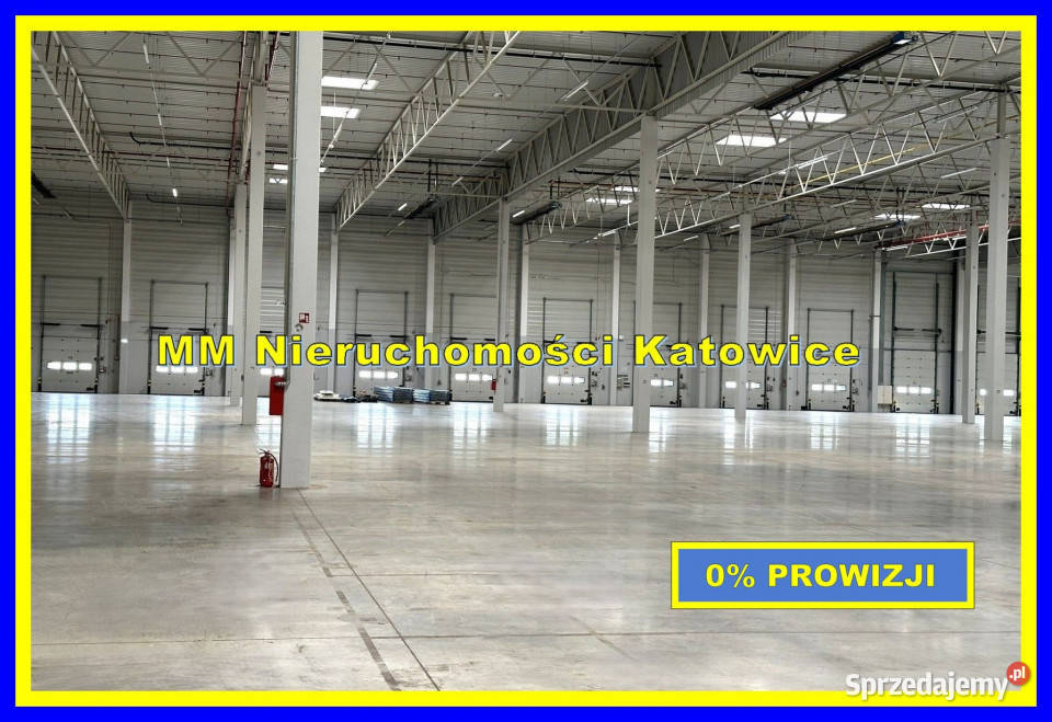 Magazyny do wynajęcia centrum dystrybucyjne