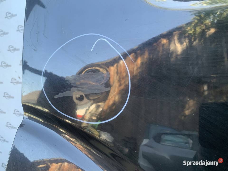 NISSAN PATHFINDER III R51 10r drzwi prawe tył Kielce