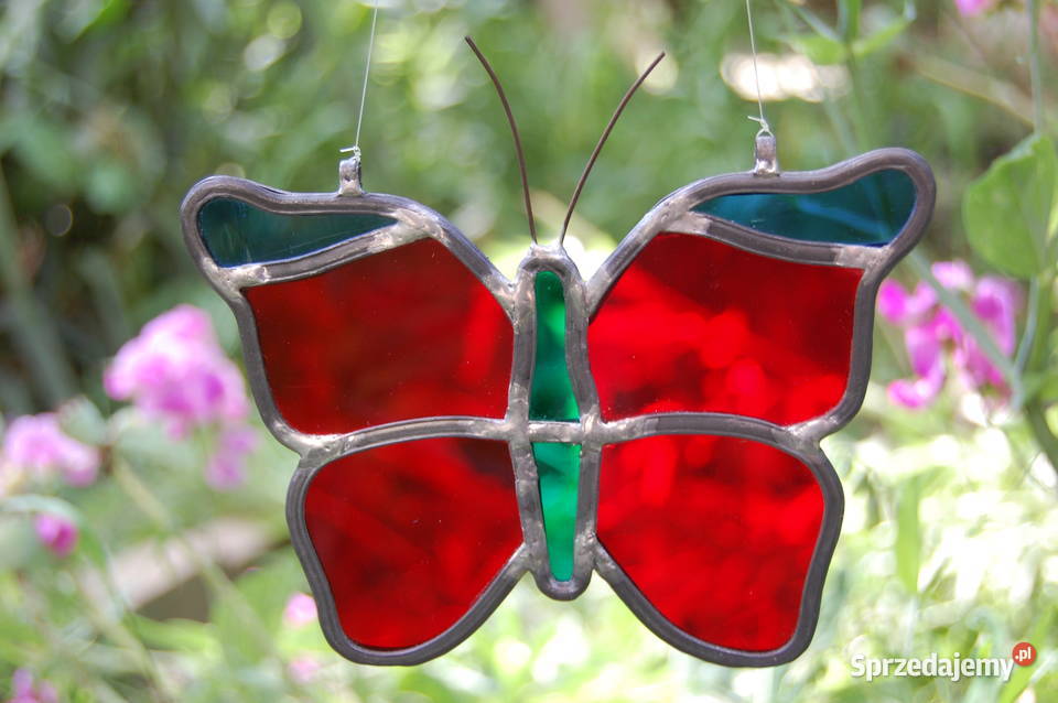 Motyl witraż Lublin