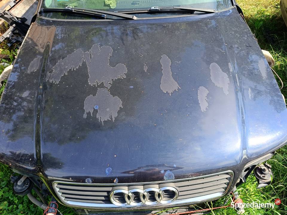 Maska LZ5L Audi A4 B5 FL a31 Myszków