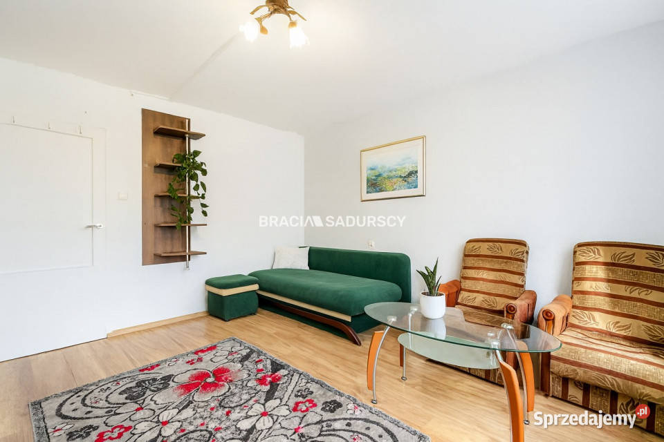 Mieszkanie Kraków 243m 1pokojowe