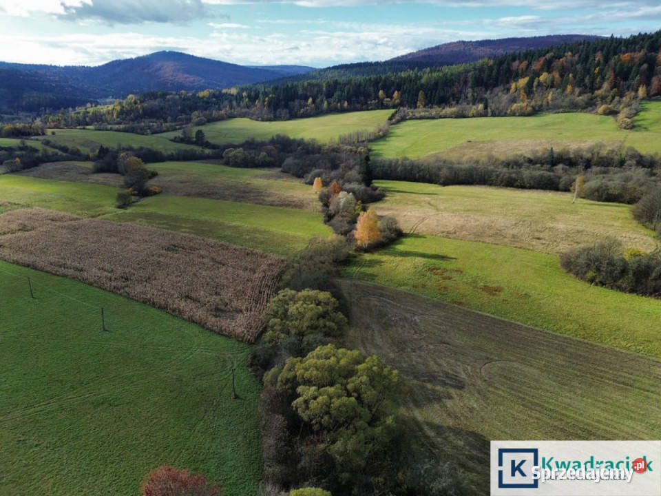 sprzedaży gruntu 587000m2 Daliowa Sprzedaż podkarpackie