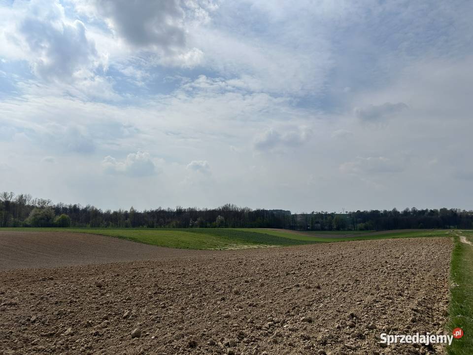 Sprzedam działkę rolną łąka rzeką Kosarzewka 2500m2 lubelskie Tuszów