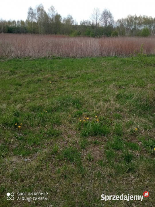 Jasionka działka z WZ 1861 ar Sprzedam Nieruchomości