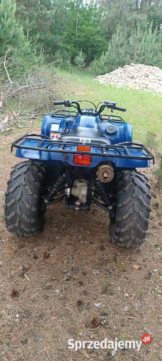 Sprzedam Grizzly 450 fajny stan do jazdy 8000km Wieruszów
