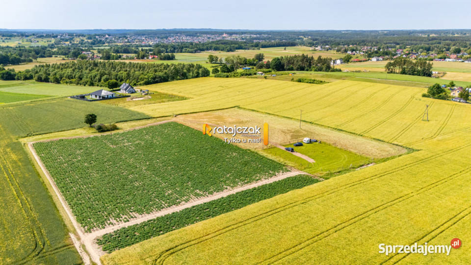 Działka 1014m2 Robakowo Królewska polna Sprzedaż
