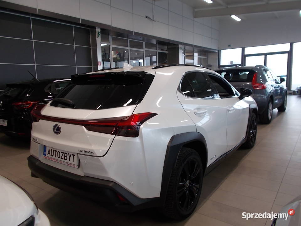 LEXUS UX 250H bEE AutomatSalon Polska isofix Dębica