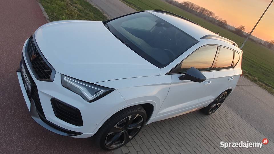Cupra Ateca 15 TSI dsg nowa super wyposażona Samochody osobowe