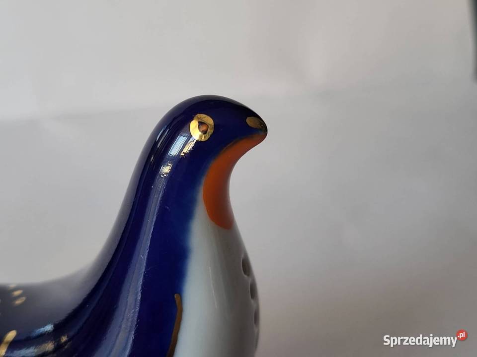 łomonosow solniczka gołąb Gdańsk