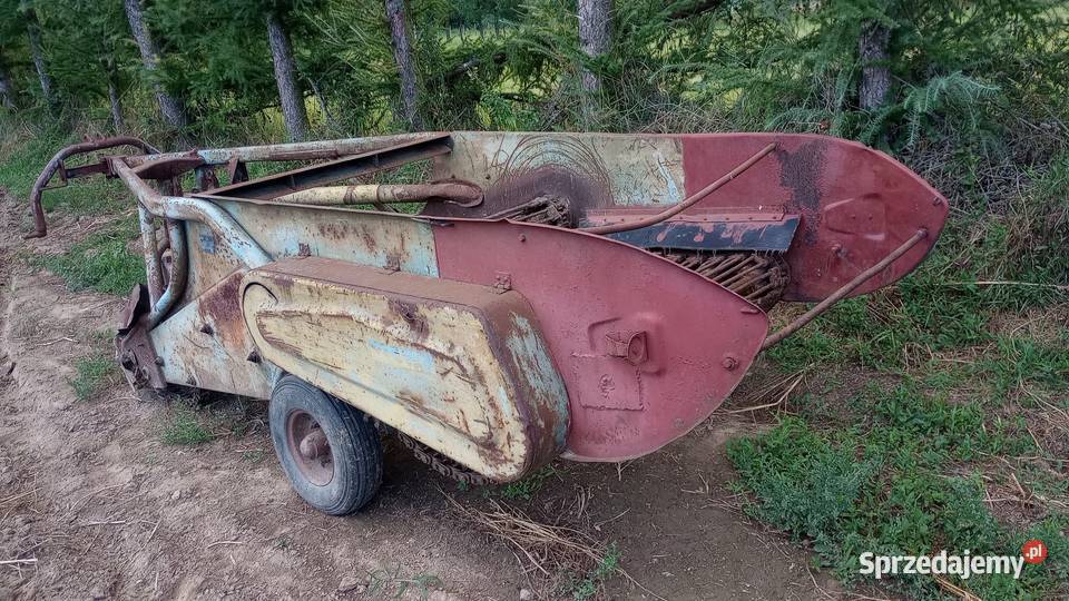 Kopaczka elewatorowa do ziemniaków Skała sprzedam