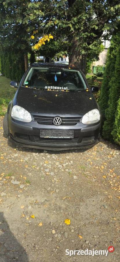 Volkswagen Golf V 16 Benzyna 2005 Wyrazisty Styl