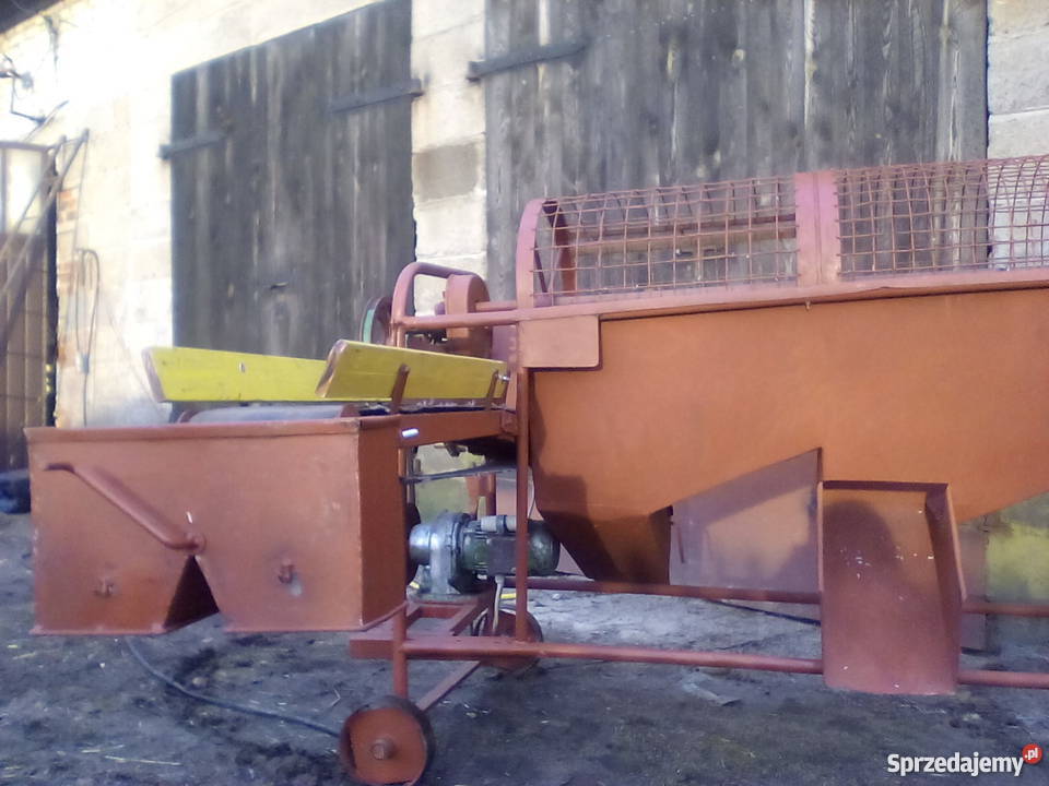 Sortownik do ziemniaków Pozostałe Skalmierz