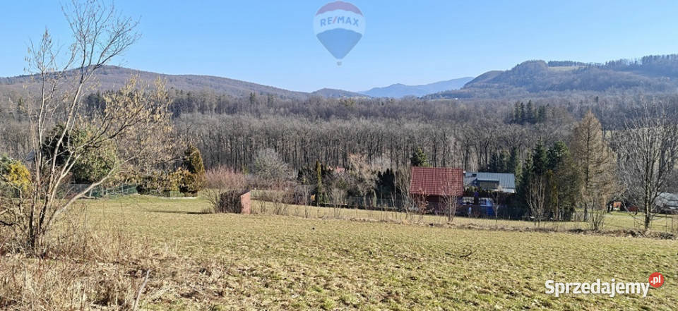 Działka budowlana pod lasem 0m Dzięgielów sprzedam