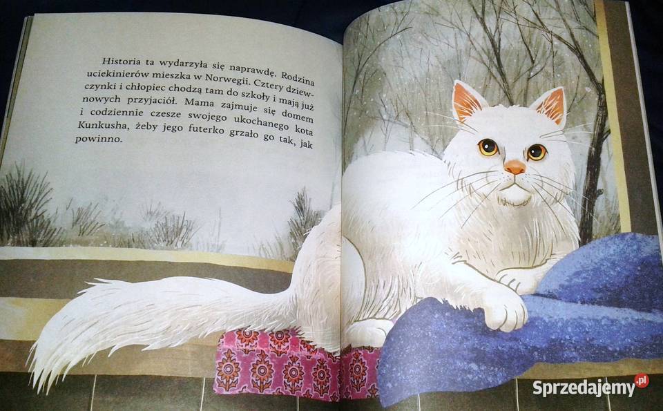Kot który zgubił dom Ewa Nowak Chełm sprzedam