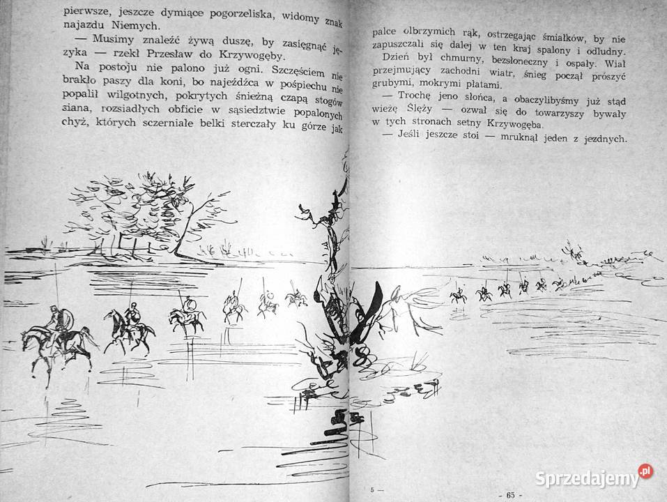 Gorące wici Janusz Teodor Dybowski Chełm sprzedam