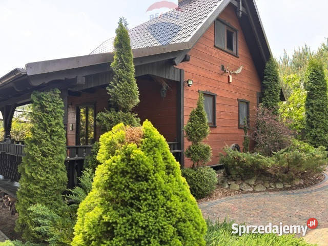 Dom w lesie na pięknej działce Kościerzyną Lamk