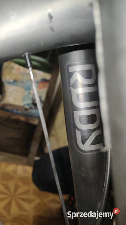 Canyon grizl cf śl xl geo sport