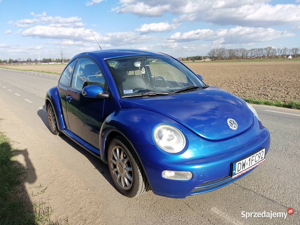 Volkswagen Beetle Wrocław