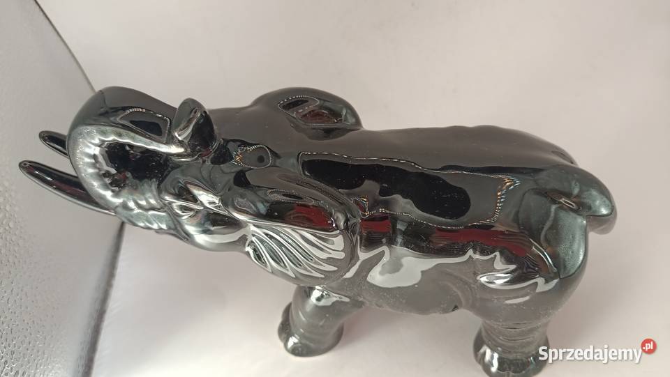 Duży czarny słoń z trąbą do góry i krocząca Zamość sprzedam