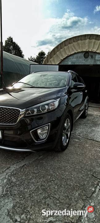 KIA SORENTO Polski Salon Pszczyna