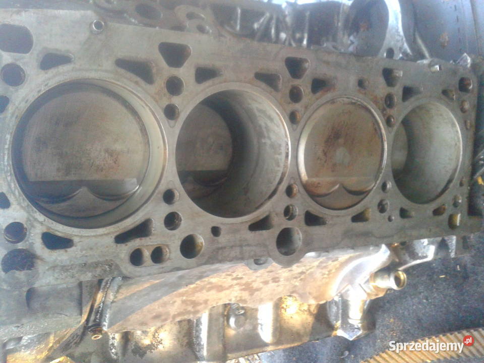 audi a8 d2 37 v8 głowica lewa z korkiem Przemyśl
