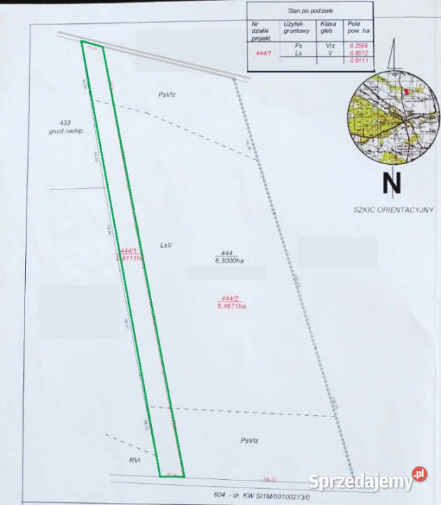 Las sosnowy 50letnipastwiska 9111 m Pustelnik