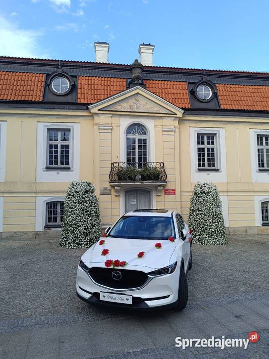 Przewóz osób na lotnisko Transport Białystok przewóz osób