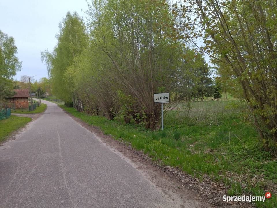 Działka budowlana z dostępem do linii brzegowej Sprzedaż Lesiska