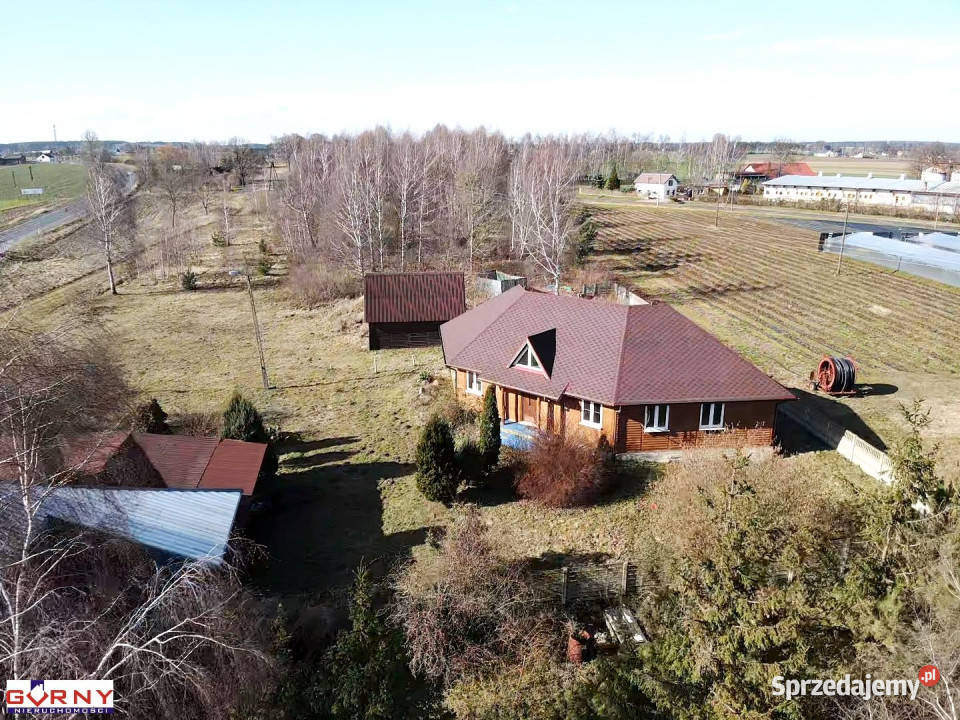 sprzedaży lokalu Wola Krzysztoporska 351m2 sprzedam