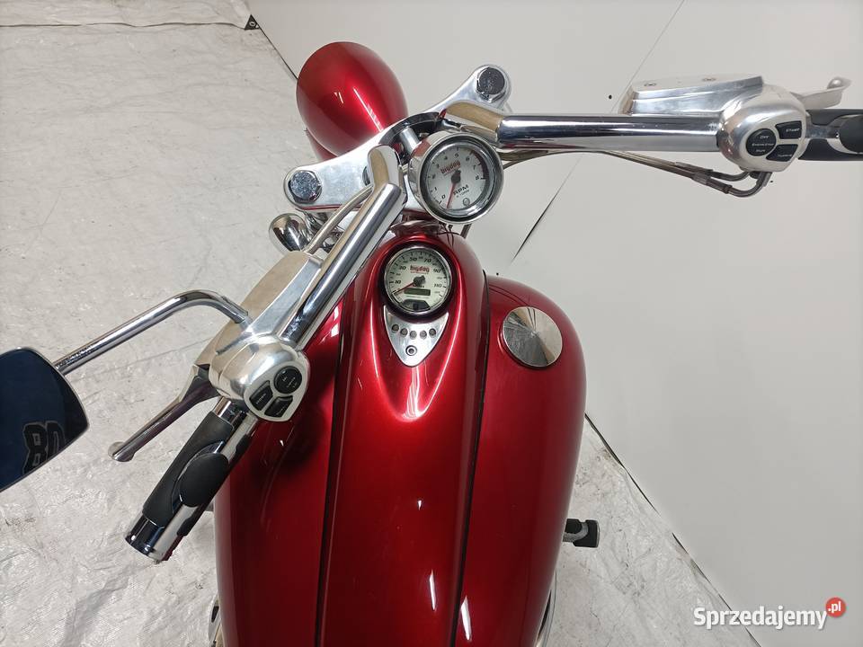 Harley Big Dog Mastiff Padniewko