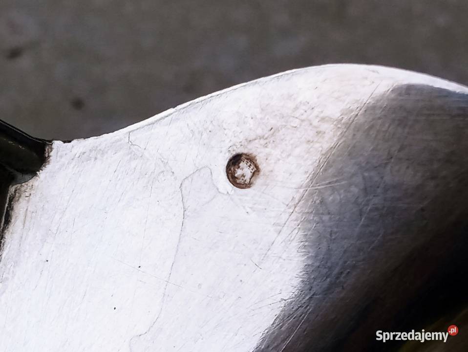 Piękny Mlecznik Rosja Łotwa Srebro 875 Nowa Sól