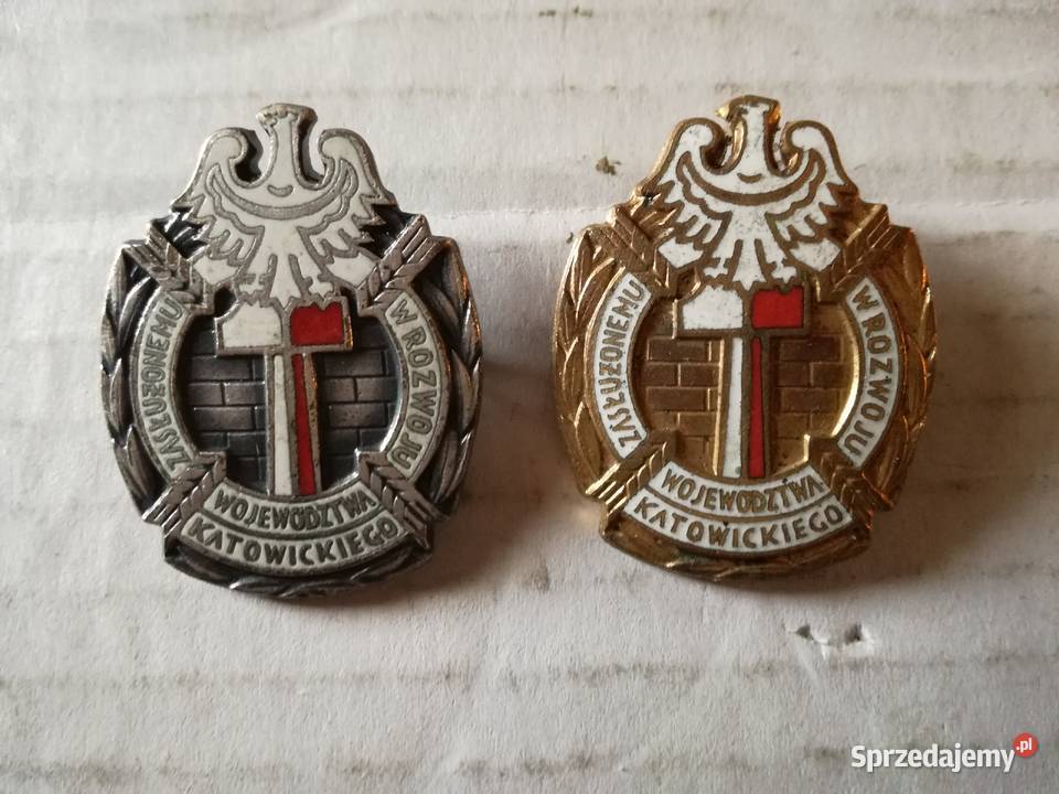 Odznaki Zasłużonemu w rozwoju województwa sprzedam