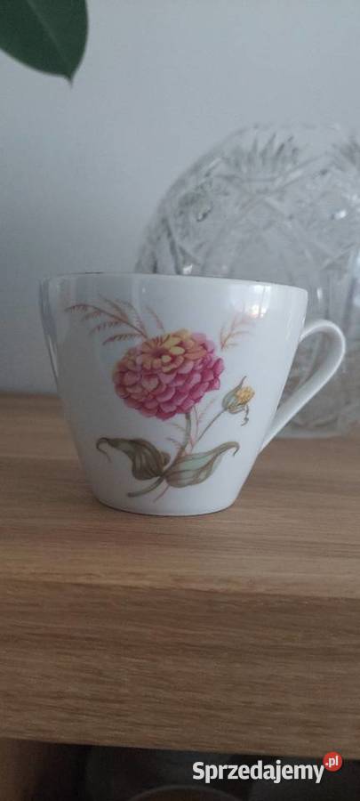 Komplet filiżanek z porcelany kostnej