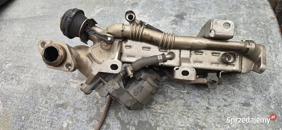 BMW F10 F11 F20 F21 F30 F31 F32 Chłodnica EGR Recyrkulacja spalin EGR lubuskie Żagań