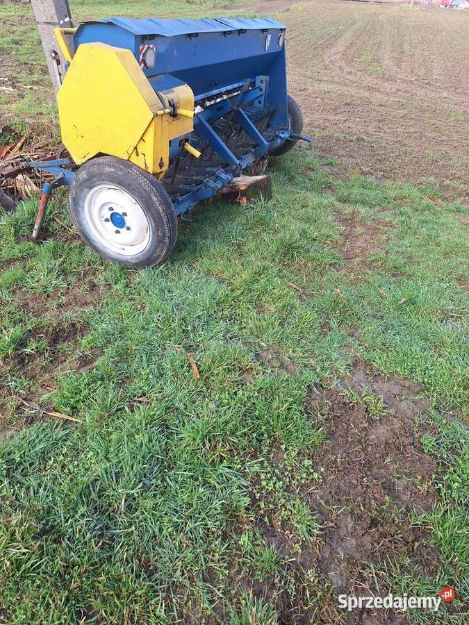 Siewnik poznaniak Przeciszów