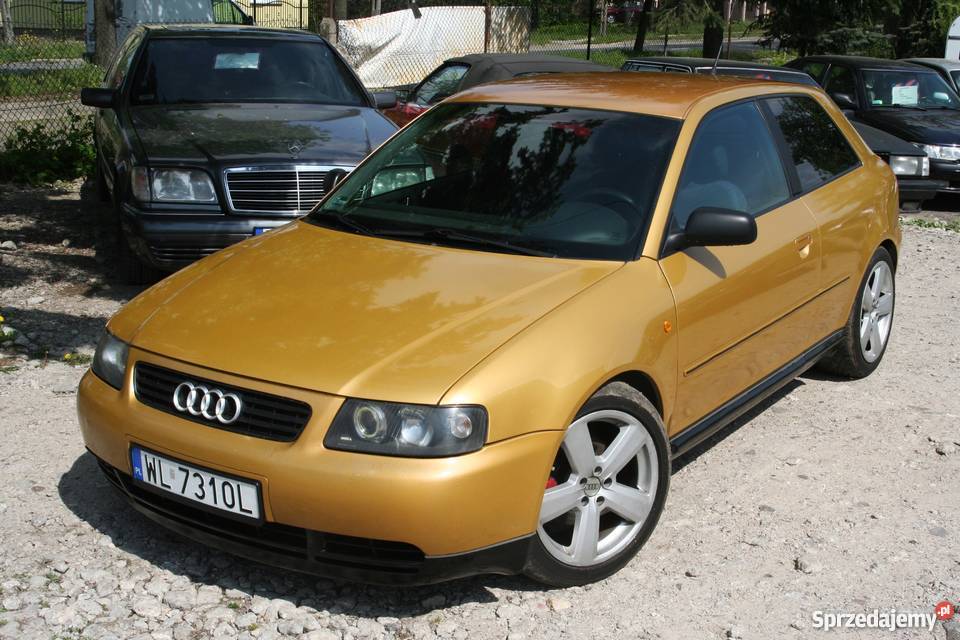 Audi A3 19 TDI 90 Klimatronik 2/3 Zgierz