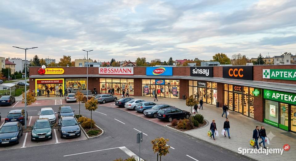 Biedronka Rossmann Pepco Sinsay komplementarni 4000m2 Toruń