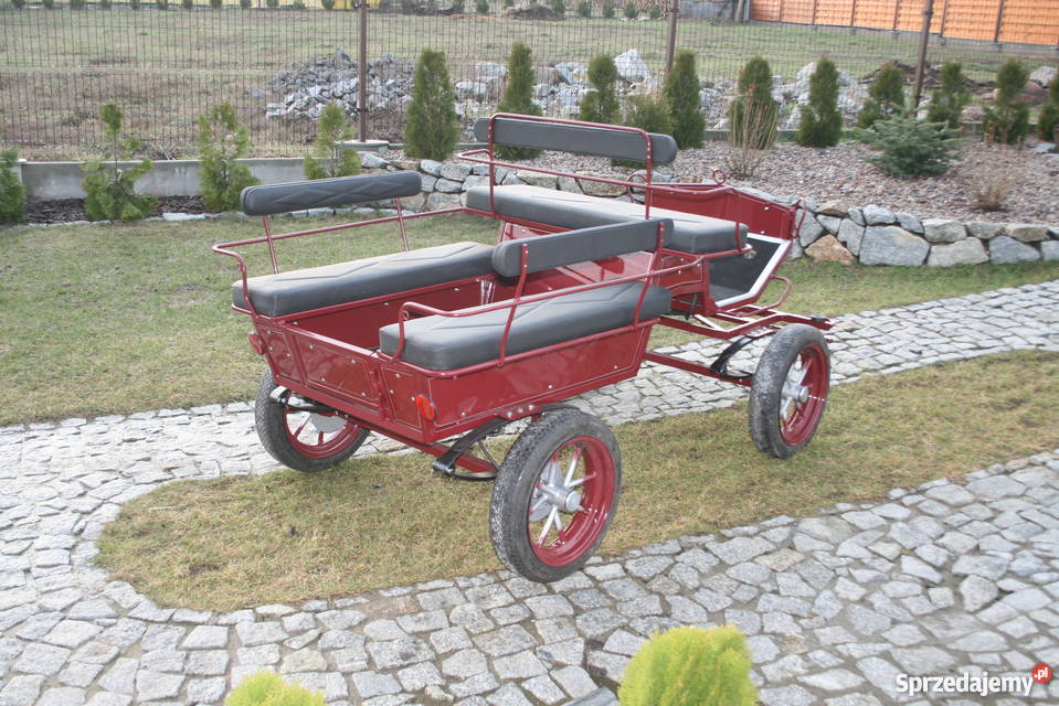 bryczka konna powóz konny wagonetta producent do wielkopolskie