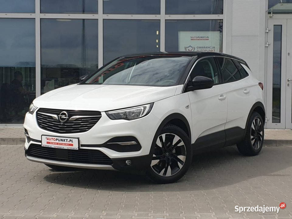 Opel Grandland X, 2019r. Faktura Vat 23% | Bezwypadkowy | G…
