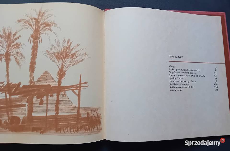 Wiktor Zin Piórkiem i węglem Piękno potężne Koźminek